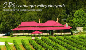 O'Reilly's Canungra Valley Vineyards under vine