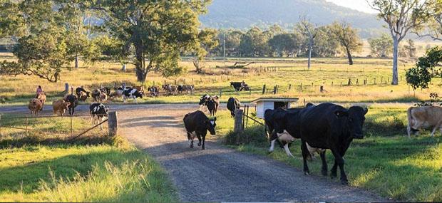 Tommerups Farm Stay Family Accommodation