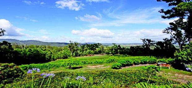 Wallaby Ridge Retreat