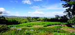 Wallaby-Ridge-Retreat-Gold-Coast-Scenic-Rim-Accommodation.png