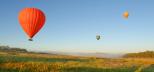 布里斯班-热气球-飞行-澳大利亚